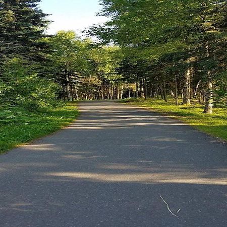 Moose Meadows- Near The Airport, Centrally Located Anchorage Ngoại thất bức ảnh